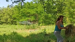 Мой первый опыт общения с бензиновым триммером.Все получилось,мы с ним поладили)))#мотокоса#триммер