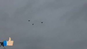 Кто сказал что в Николаеве голуби не летают? Не можем посадить голубей.