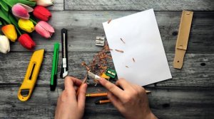 НОЖ ИЛИ ТОЧИЛКА? ЧТО ЛУЧШЕ? • Как точить карандаш