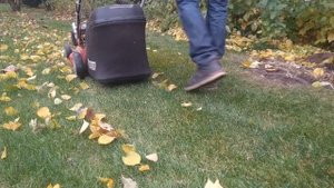 Как легко убрать листья с газона осенью.