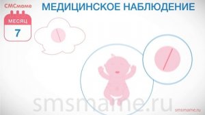 Ребенок 7 месяцев - рост и вес, уход за ребенком в семь месяцев.