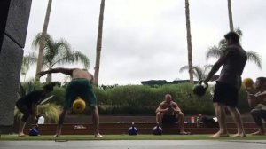 Training grip and stance for BJJ