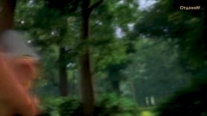 Астерикс и Обеликс делят кабана!