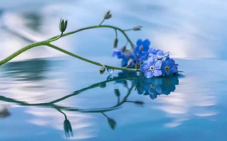 Что нужно и важно, знать здесъ и сейчас......онлайн расклад.....