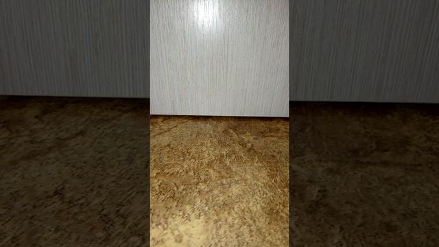 что находится в чехле для телефона? (узнали и показали ) смотреть онлайн