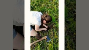 Копаем солодку??♀️ упорство и труд..?