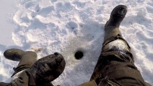 Рыбалка на озере! Как Ловить Щук на Жерлицы!!! Способ Оснастки Жерлиц!