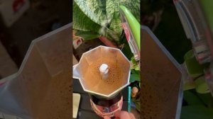 Bialetti Brikka green 2cup (2023)