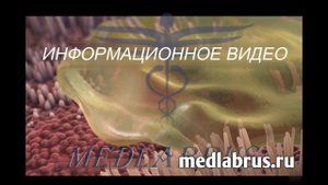 Курение и хроническая обструктивная болезнь легких