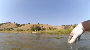 Как выкосить траву в воде перед соревами? Готовим берег к Чемпионату области