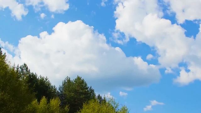 Timelapse Нея 2013 смотреть онлайн