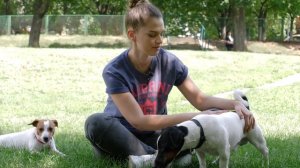 Эко-привычки владельцев домашних питомцев? | Как сделать жизнь питомцев экологичной?