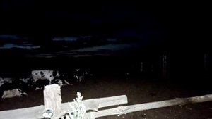 Пастушьи будни. Ночь. Таинственный крик ночной птицы.