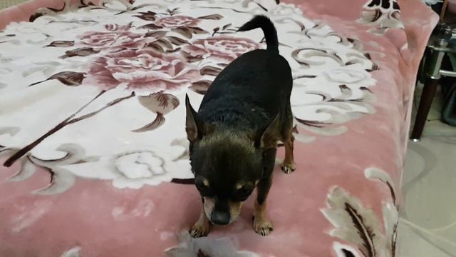 Солнечное настроение смотреть онлайн