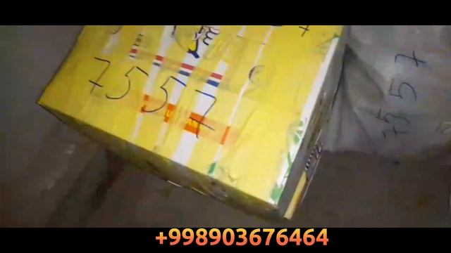 Павловния каламчалар оптом нархда 100 % сортига гарантия ( Павловния дерево ) смотреть онлайн