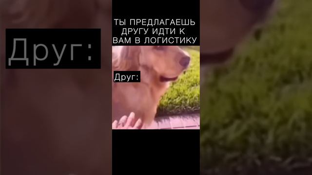 Очередной воскресный мемчик от BAIRES 🙌🏻 смотреть онлайн