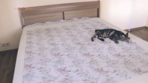 Дом коттедж Пазелы мкрн усадьба Ижевск купить