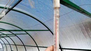 Ответ на вопрос// меняю ли я почву в теплице?