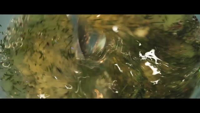 Севиче Из Ах..енной Рыбы | Муксун в маринадах | #Borsch