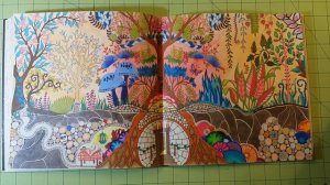 The enchanted forest by johanna basford adult coloring book review flip through