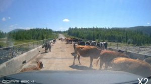 дорога Орлик-Монды