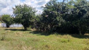 Купить участок в  ст. Неберджаевская| Переезд в Краснодарский край