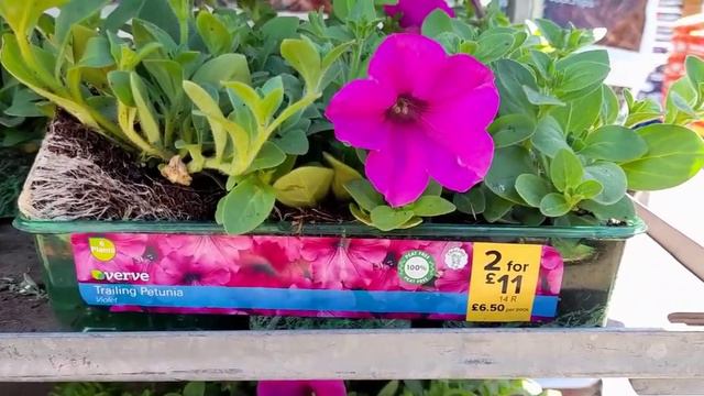 Garden Centre Trip (B&Q) ~ Lazy Sunday ~ May 2021 🇬🇧 смотреть онлайн