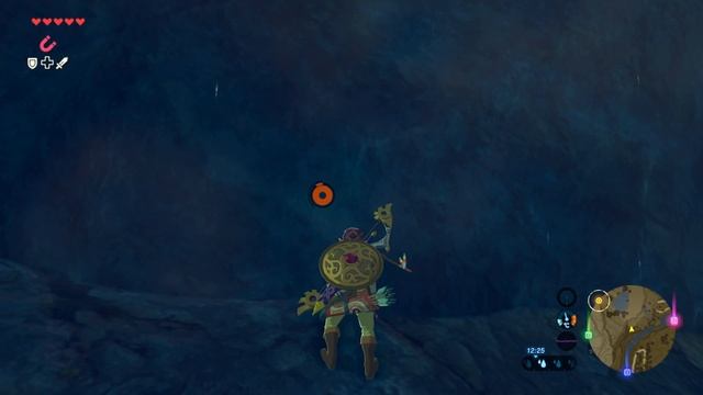 ПУТЬ ВО ВЛАДЕНИЯ ЗОРА ► The Legend of Zelda: Breath of the Wild #51