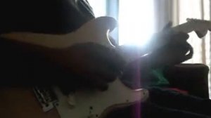 Fender Stratocaster  texas special