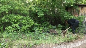 Проект "Дача" закрывается. Подвернула ногу