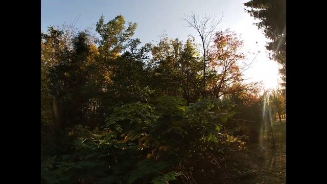 ОСЕННИЙ ПАРК. смотреть онлайн