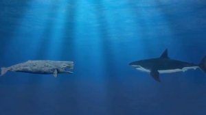 Монстр с огромными зубами | Левиафан Мелвилла | Моби Дик