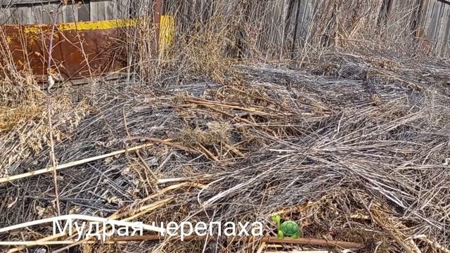 бюджетный ремонт теплицы. упаковочной плёнкой и старыми жалюзи.
