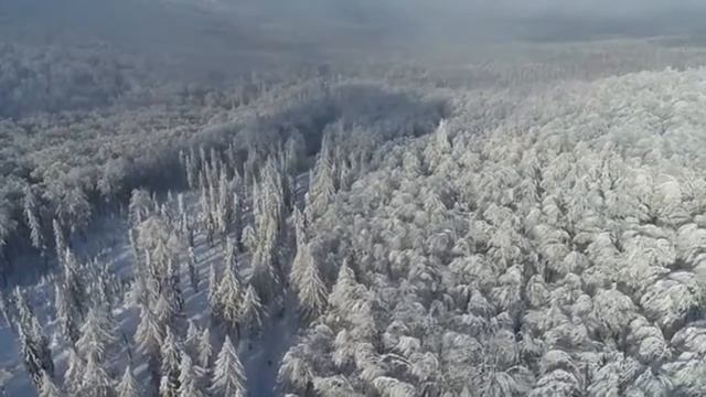 НОВОГОДНИЕ ШАРЫ – САКРАЛЬНЫЙ СМЫСЛ. ПОЧЕМУ СЛАВЯНЕ ПРАЗДНУЮТ НОВЫЙ ГОД ЗИМОЙ смотреть онлайн