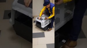 разбор переноски Скудо 5 и их складирование, видео для участника клуба с США