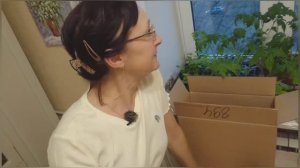 Видео привет с балкона с рассадой. 16 апреля 2024 года