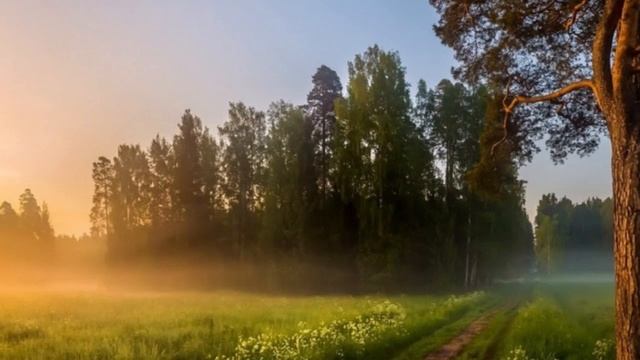 Всегда держитесь за эти слова Спасителя. Святитель Игнатий Брянчанинов. смотреть онлайн