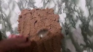 #Печеночный рулет.#Рулет из печенки.