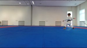 Кихон на коричневый пояс - 3 кю