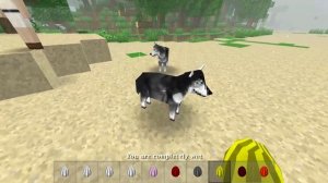 Survivalcraft 2 Tribalcraft (Savage Island) Mod