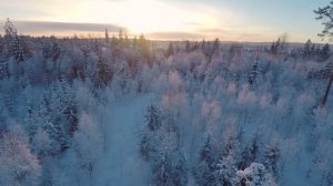 Открыв дверь, бабушка обомлела. На пороге стояла девушка с ОКАЛЕВШИМ волком на плечах