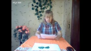 Ценные листья дерева гинго билобы, улучшает память и работу мозга