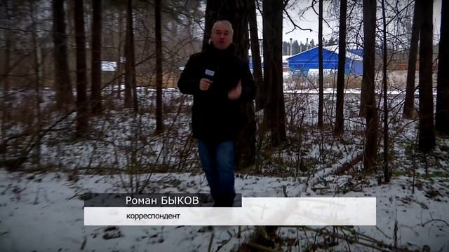 Что считается валежником смотреть онлайн