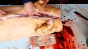 Быстрая РАЗДЕЛКА ТУШИ СВИНЬИ для продажи!  КАК РАЗДЕЛЫВАТЬ  КАБАНА!!!