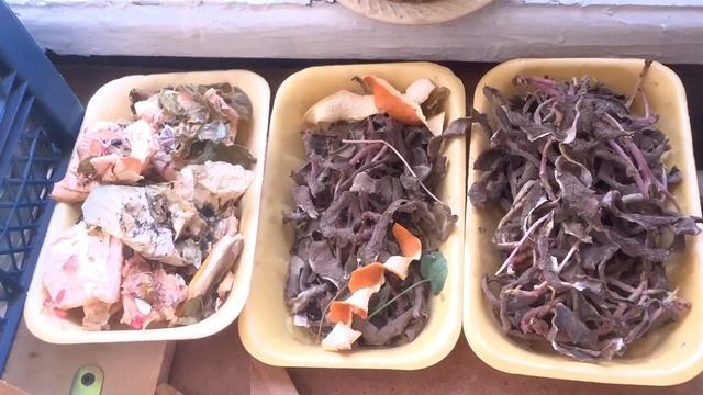 Домашние дела. Обо всем понемногу.