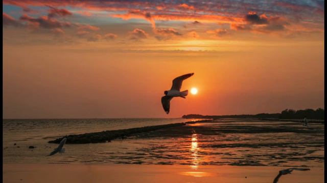 ДОБРОДЕЛЫ В ОТПУСКЕ ! КТО НАМ ПОКАЖЕТ БАБУ ГАЛЮ ? смотреть онлайн