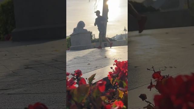 Кёкусинкай / Бег бой с тенью с гантелями смотреть онлайн