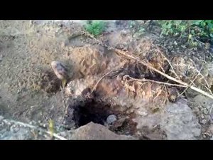 В Подмосковье в д. Пронское из песчанного карьера сделали мусорный полигон