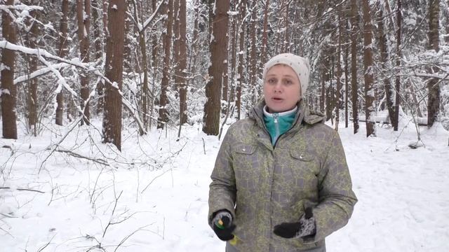 Маркер "Да" кликер / Дрессировка собак