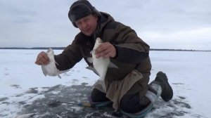 Как найти и поймать зимой леща
